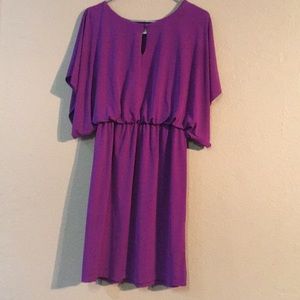 Purple ColdWater Creek Size 6 Midi Dress